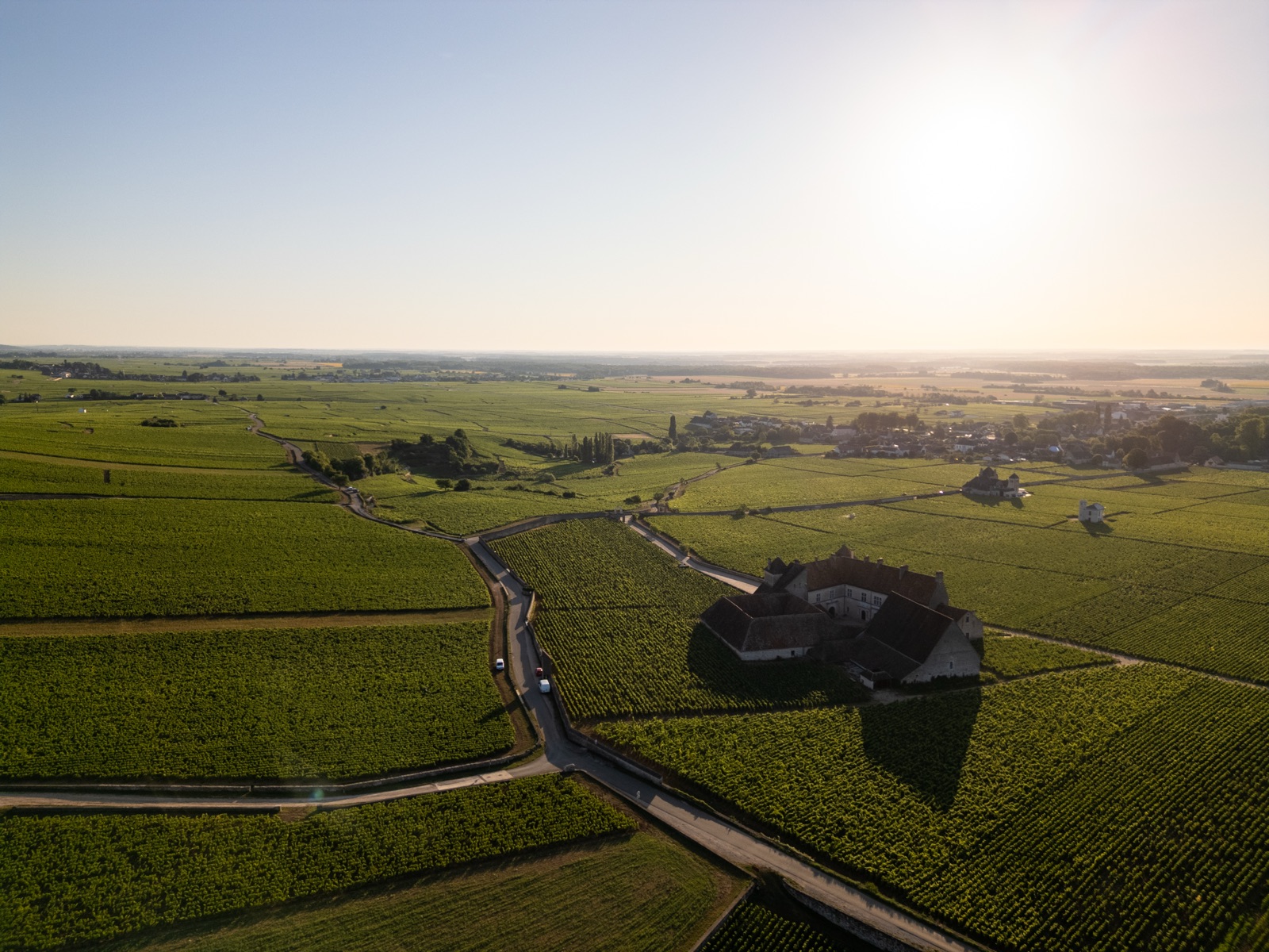Domaine viticole 1